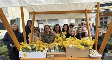 I u Krapinsko-zagorskoj županiji obilježen Dan narcisa: Žene, odazovite se besplatnom mamografskom pregledu