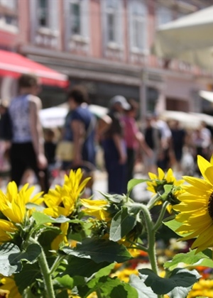 Novi početak uz proljeće: reset tijela i doma