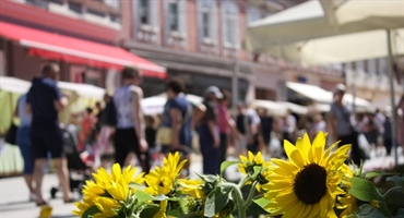 Novi početak uz proljeće: reset tijela i doma