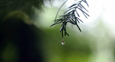 Danas nestabilno vrijeme: sunce, oblaci i mjestimice kiša