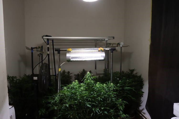 Pao diler u Zagrebu: U stanu mu pronašli laboratorij za uzgoj droge