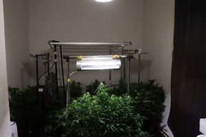 Pao diler u Zagrebu: U stanu mu pronašli laboratorij za uzgoj droge