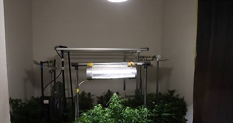 Pao diler u Zagrebu: U stanu mu pronašli laboratorij za uzgoj droge