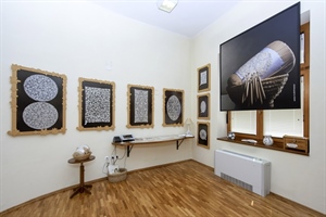 Tko je odgovoran za nestanak čak 41 čipke iz Ekomuzeja Lepoglava?