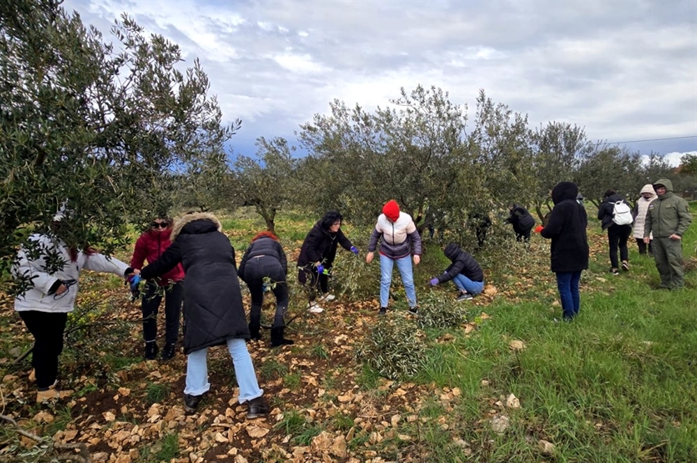 Članovi HDZ-a Varaždinske županije sudjelovali u rezanju maslinovih grančica koje će podijeliti uoči Cvjetnice