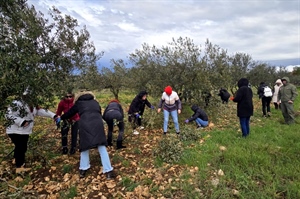 Članovi HDZ-a Varaždinske županije sudjelovali u rezanju maslinovih grančica koje će podijeliti uoči Cvjetnice