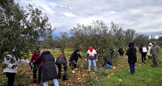 Članovi HDZ-a Varaždinske županije sudjelovali u rezanju maslinovih grančica koje će podijeliti uoči Cvjetnice