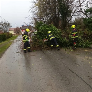 Pune ruke posla za vatrogasce na sjeveru Hrvatske – uklanjali porušena stabla, ispumpavali vodu, s intervencijama nastavljaju i dalje