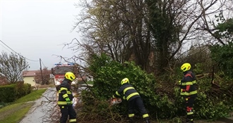 Pune ruke posla za vatrogasce na sjeveru Hrvatske – uklanjali porušena stabla, ispumpavali vodu, s intervencijama nastavljaju i dalje