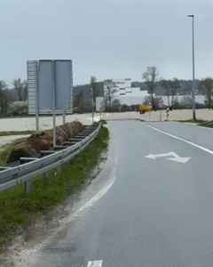 Metar vode na ulazu na brzu cestu u Poznanovcu, u Zaboku se izlila Krapinica – ceste su zatvorene!