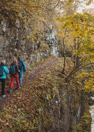 JU Zagorje zeleno: Kako se ponašati u prirodi - jednostavna pravila koja čuvaju šume, životinje i nas same