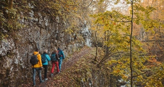 JU Zagorje zeleno: Kako se ponašati u prirodi - jednostavna pravila koja čuvaju šume, životinje i nas same