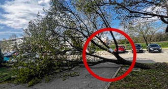 Hit poruka nakon nevremena u Zagrebu: Iznenadio suprugu, ali ne cvijetom već 'ovim čudom' koje nije mogao unijeti u zgradu