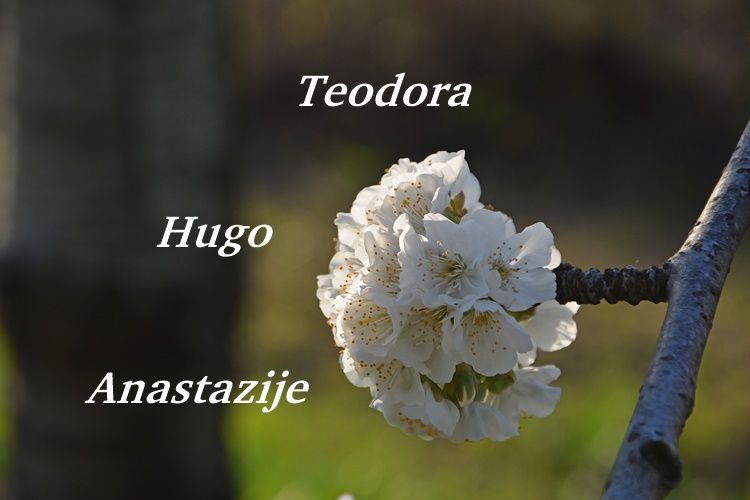 Evo tko su današnji godovnjaci, čestitajte im!