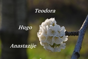 Evo tko su današnji godovnjaci, čestitajte im!