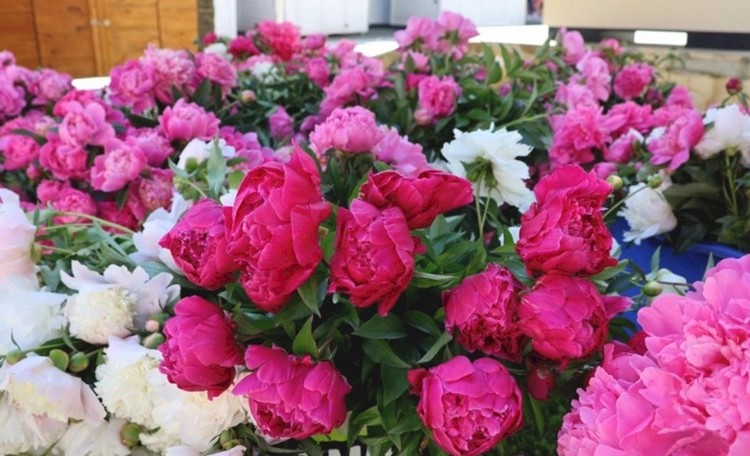 Međimurci ponovno pokazali veliko srce, Zaklada Katruža u 2025. pružila gotovo 60 tisuća eura pomoći