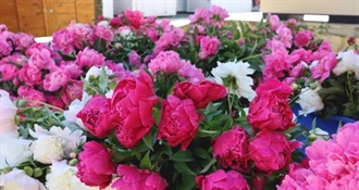 Međimurci ponovno pokazali veliko srce, Zaklada Katruža u 2025. pružila gotovo 60 tisuća eura pomoći