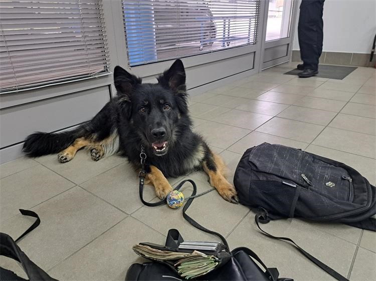 Pas nanjušio eure - Srbin pokušao ući u Hrvatsku s 15 tisuća u ruksaku