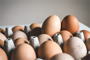 Kuhinjski otpad koji spašava vrt: Ljuske od jaja hrane ptice i jačaju biljke