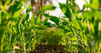 Veliki paket potpora - Krapinsko‑zagorska županija objavila šest natječaja za razvoj poljoprivrede