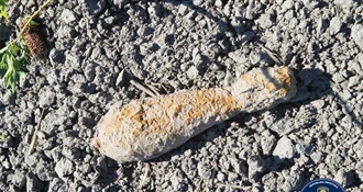 Opasan prizor u polju kod Kotoribe - radnici naišli na minu iz Drugog svjetskog rata