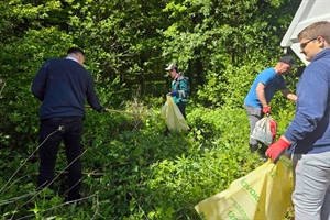 Zelena čistka u Novom Marofu: Grad poziva sve građane dobre volje da se pridruže akciji