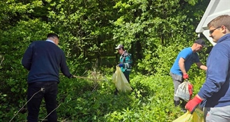 Zelena čistka u Novom Marofu: Grad poziva sve građane dobre volje da se pridruže akciji