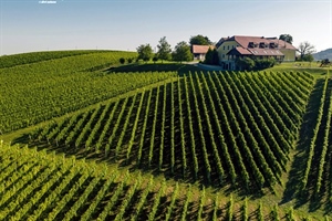 Subota nam donosi oblake, ponegdje i kišu, ali...nakon kiše uvijek dolazi sunce!