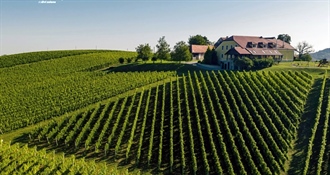 Subota nam donosi oblake, ponegdje i kišu, ali...nakon kiše uvijek dolazi sunce!