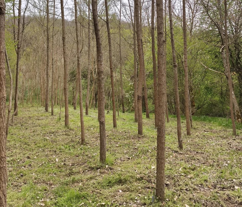 PAMETNA INVESTICIJA ILI...? Međimurac preskočio nekretnine i uložio u zemlju: "Vrijedi više od zlata"