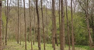 PAMETNA INVESTICIJA ILI...? Međimurac preskočio nekretnine i uložio u zemlju: "Vrijedi više od zlata"