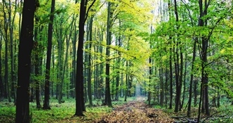 JU Zagorje zeleno poziva vas na predstavljanje vodiča za šumovlasnike