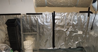 Policija otkrila laboratorij za uzgoj droge – 37-godišnjak sadio konoplju i preprodavao