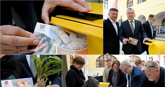 Ludbreški hren od danas na markama i razglednicama – Stričak: Ljut je i oštar, ali jako zdrav te jedinstven u cijeloj Europskoj uniji