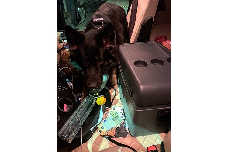 Srbin u kamionu htio prošvercati veću količinu novaca – na granici ga otkrio pas „Buli“