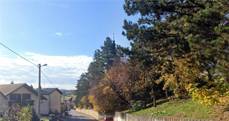 U Remetincu privremeno zatvaranje ceste zbog uklanjanja stabala