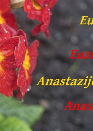 Danas im je imendan - nek' im je sretan i veseo njihov dan!