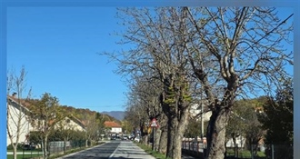 Općina Mače osigurala bespovratna sredstva za projekt „Razvoj zelene infrastrukture – Greenline Mače“