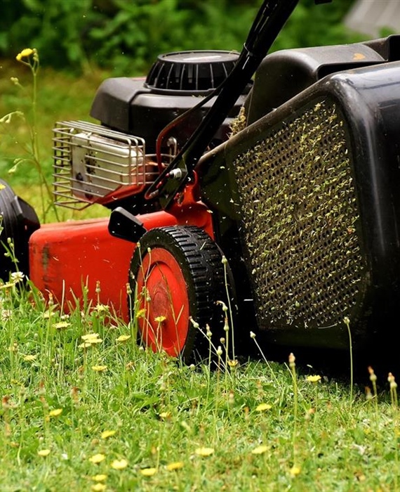 Kosite travu u nedjelju? Kazne i do 500 eura