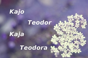 Današnji slavljenici su Kaja, Kajo, Teodora i Teodor. Sretan im imendan!