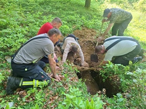 Vatrogasci spasili kobilu tešku preko pola tone – upala u jamu duboku tri metra