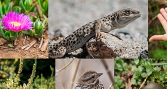 JU Zagorje zeleno: City Nature Challenge 2026 – pridruži se i otkrij prirodu oko sebe