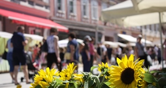 Nakon prohladnog jutra, ugodna proljetna temperatura – iskoristite dan i izađite van!