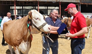 Sutra u Svetom Križu Začretju izložba stoke i konja KZŽ, neizostavni dio programa i „Bambino kup“
