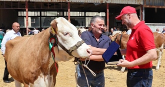 Sutra u Svetom Križu Začretju izložba stoke i konja KZŽ, neizostavni dio programa i „Bambino kup“