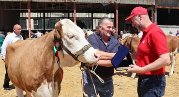 Sutra u Svetom Križu Začretju izložba stoke i konja KZŽ, neizostavni dio programa i „Bambino kup“