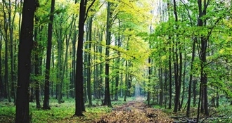 JU Zagorje zeleno: Poziv na predstavljanje vodiča za šumovlasnike