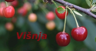 Čestitajte imendan današnjim slavljenicama!