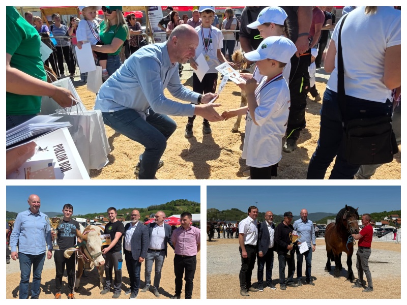 Šampioni ovogodišnje Izložbe stoke i konja su Princeza iz Zagorskih Sela i Krešo iz Bobovja - Bambino kup okupio 21 dijete s 15 telića i 1 ponijem!