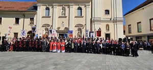 Više od dvadeset povijesnih postrojbi mimohodom središtem Čakovca obilježilo Dan Međimurske županije